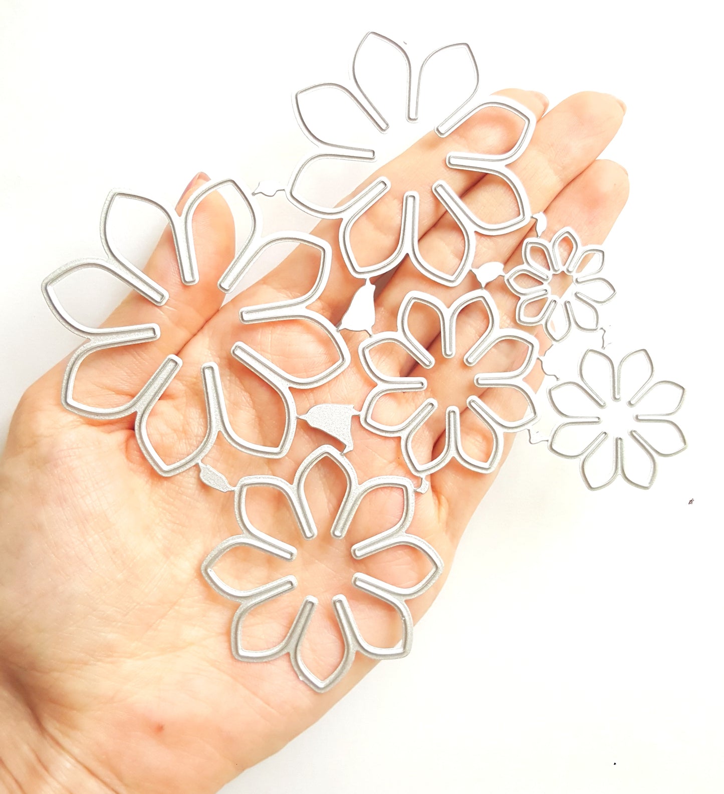 SUCCULENT, GERBERA, DAHLIA, DAISY FLOWER CUTTING DIES 6 PCS SET - Luxy Kraft
