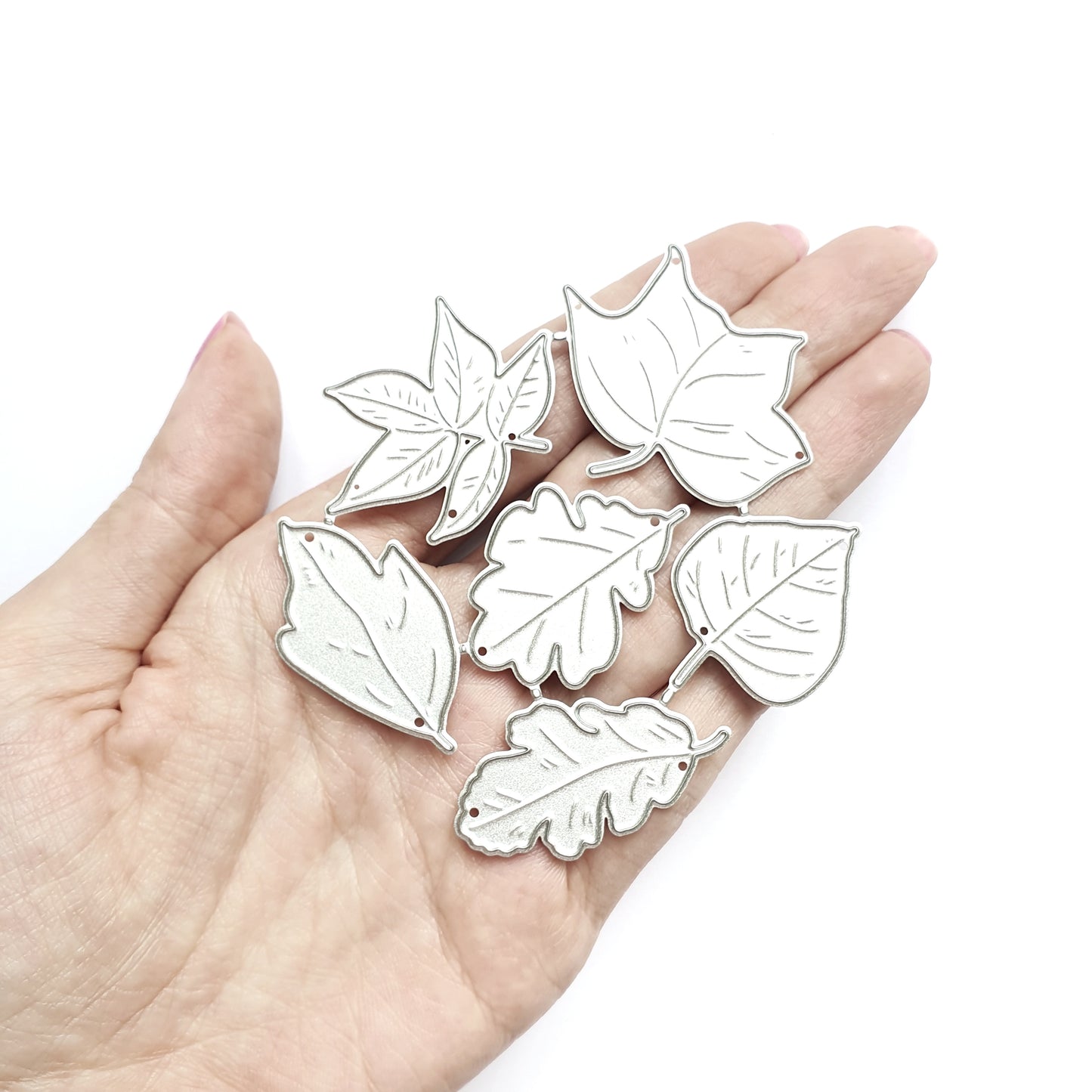 Leaves Metal Cutting Dies 6 pcs set - Luxy Kraft