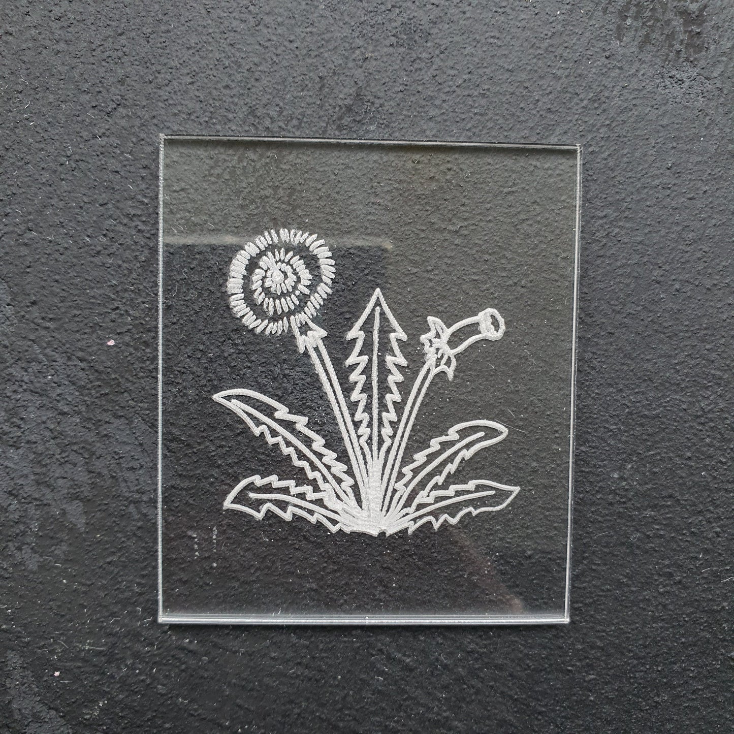 Embossing stamp for polymer clay Floral texture plate Flower debossing stamp Acrylic stamps