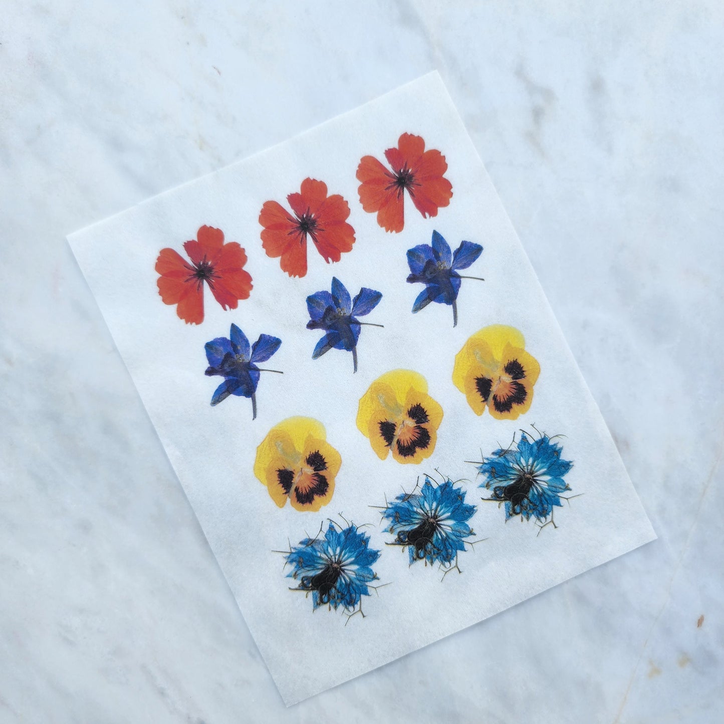 Water-soluble transfer paper for polymer clay craft "Dry flowers"