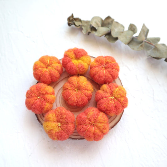 100% Wool needle felt Pumkin vegetables 1 pcs - Luxy Kraft