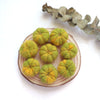 100% Wool needle felt Pumkin vegetables - Luxy Kraft
