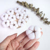 100% Wool needle felt White Cotton 3.5 cm - Luxy Kraft