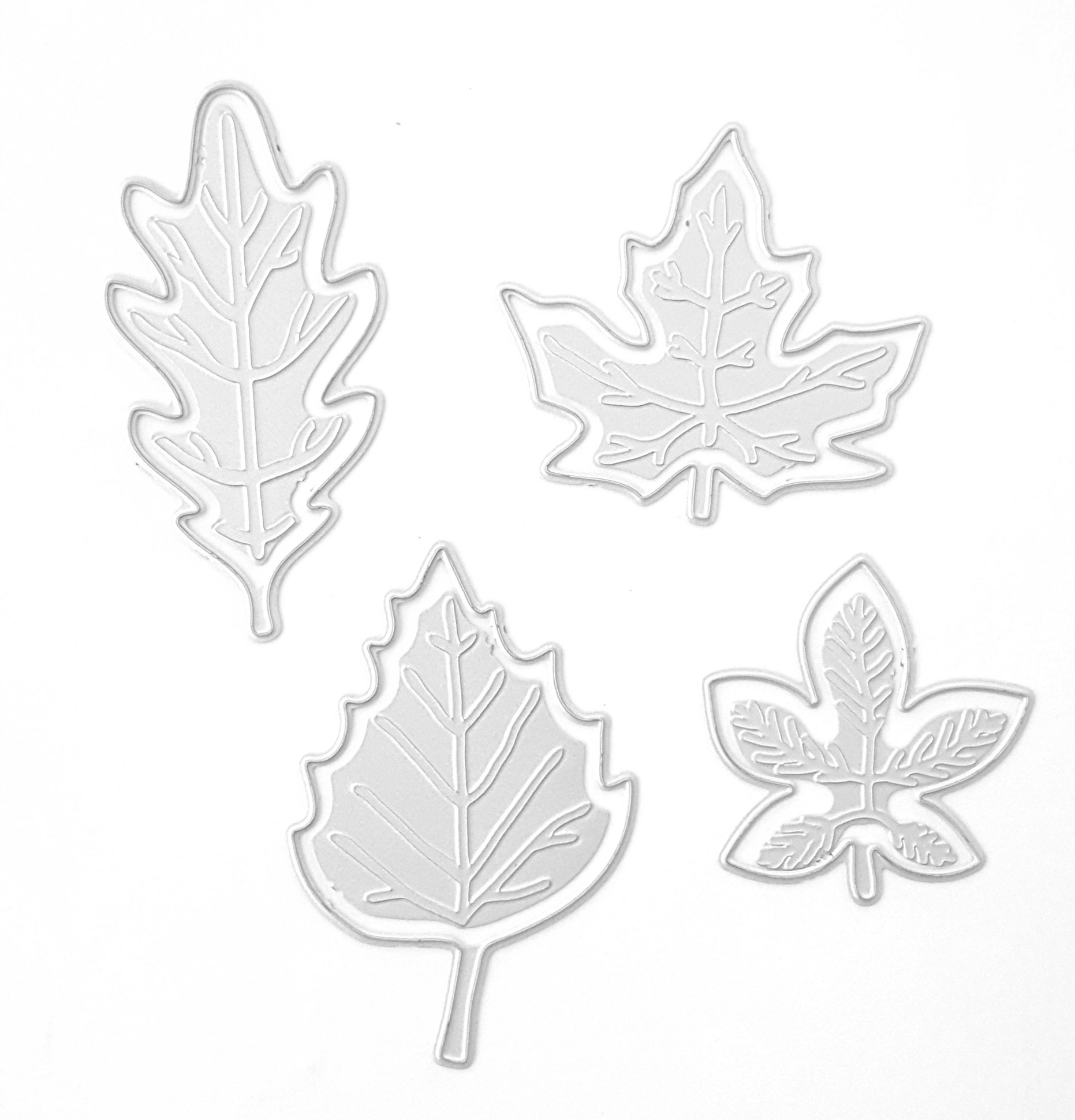 Leaves cutting embossing dies 8 pcs set - Luxy Kraft