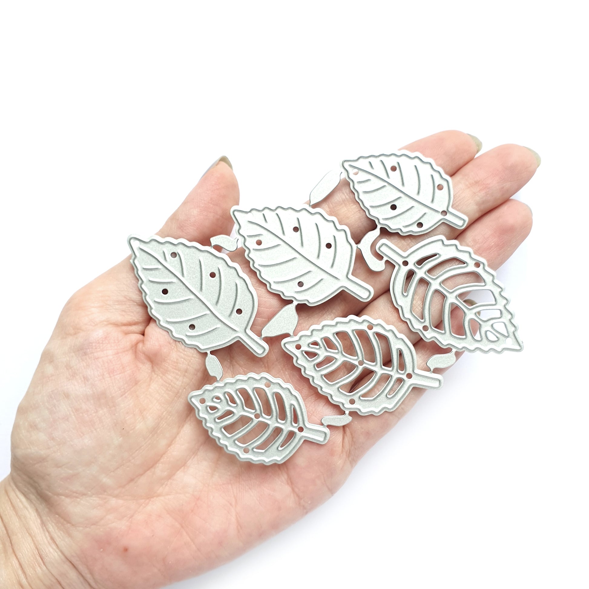 Leaves Metal Cutting Dies 6 pcs set - Luxy Kraft