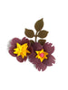 FLOWER LEAVES METAL CUTTING DIES 4 PCS SET - Luxy Kraft