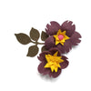 FLOWER LEAVES METAL CUTTING DIES 4 PCS SET - Luxy Kraft