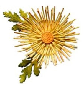 Flower leaf cutting dies 6 pcs set - Luxy Kraft