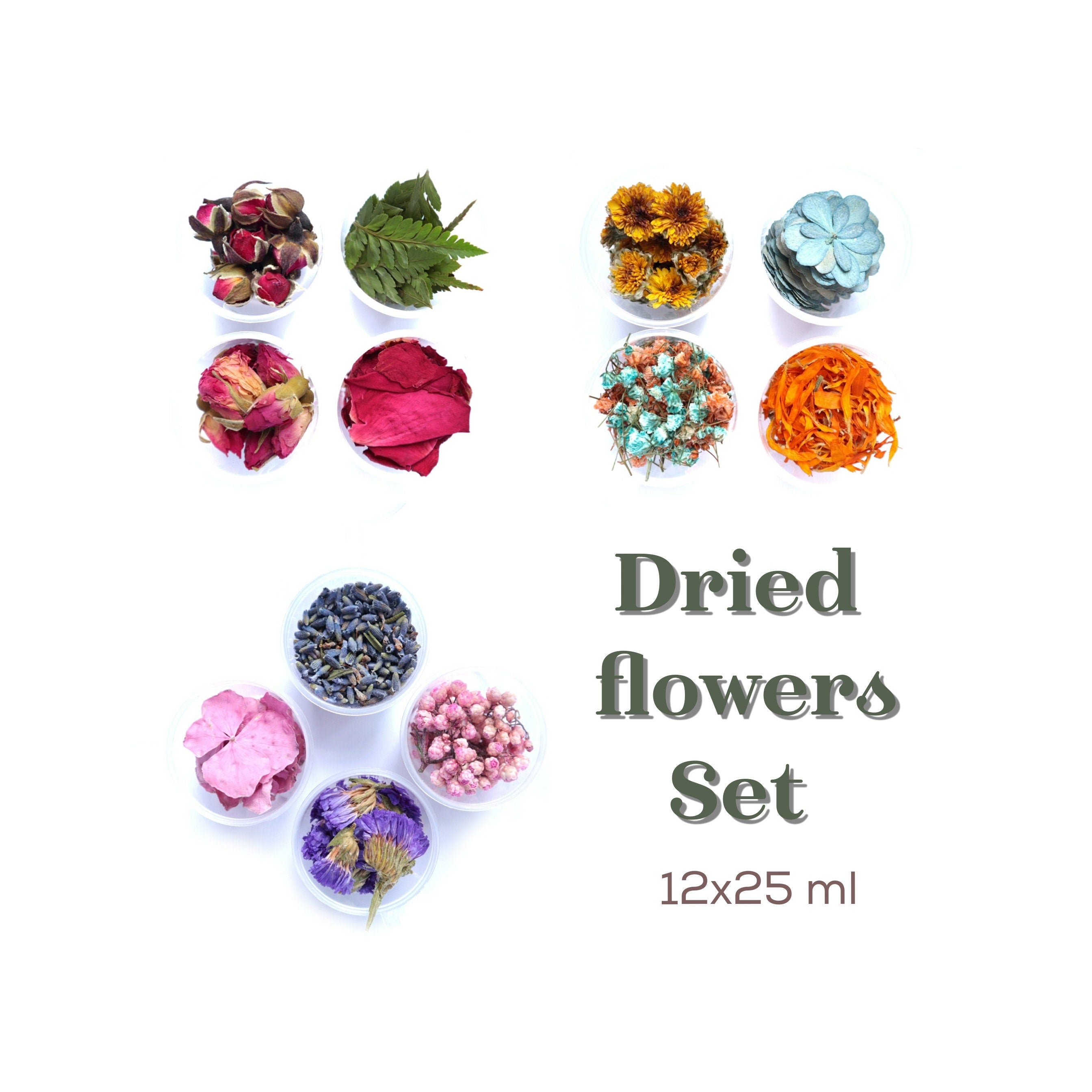 12x25 ml Dried flowers for resin Pressed flowers for craft