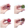 12x25 ml Dried flowers for resin Pressed flowers for craft - Luxy Kraft