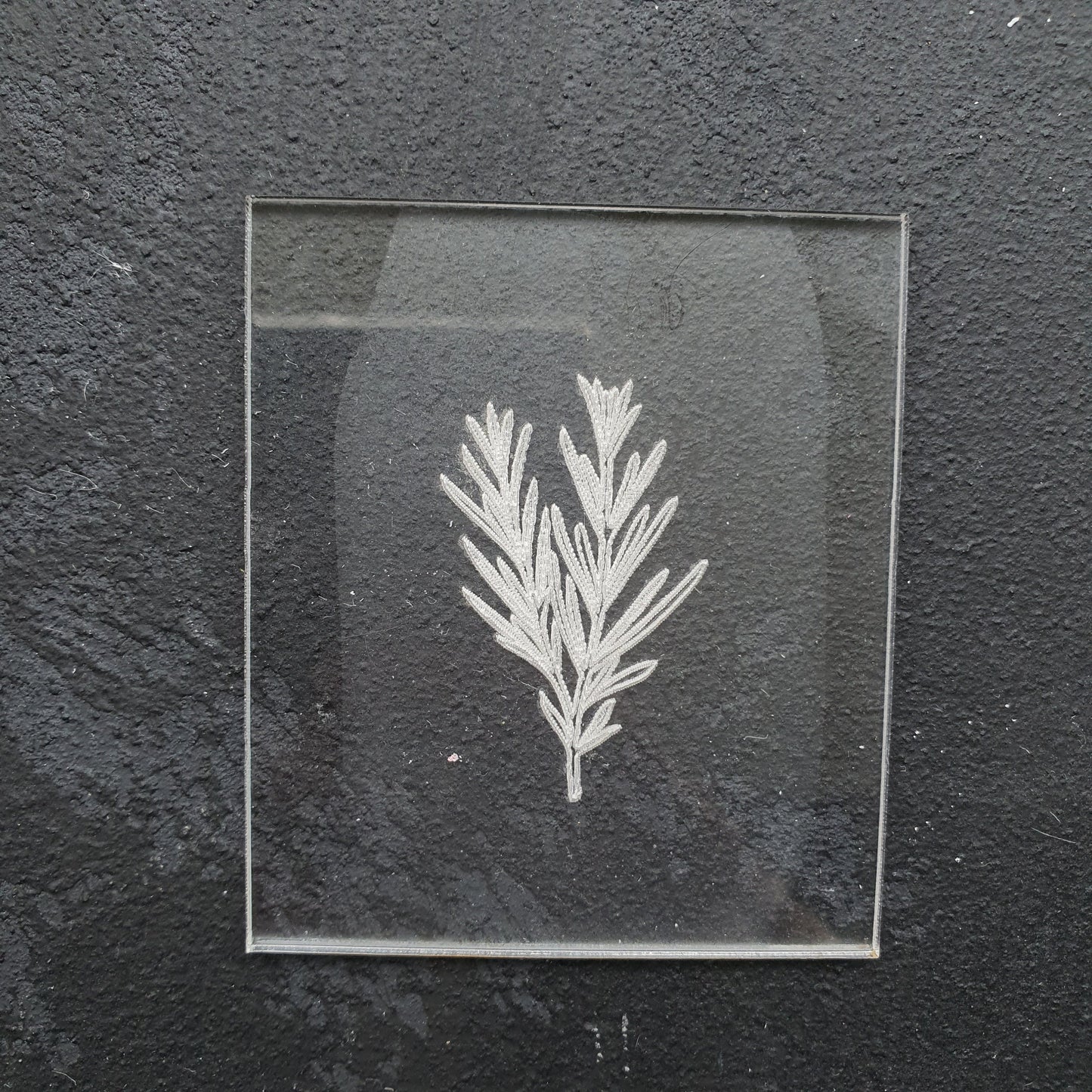 Embossing stamp for polymer clay "Rosemary" Floral texture plate Flower debossing stamp Acrylic stamps - Luxy Kraft