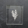 Embossing stamp for polymer clay "Rosemary" Floral texture plate Flower debossing stamp Acrylic stamps - Luxy Kraft