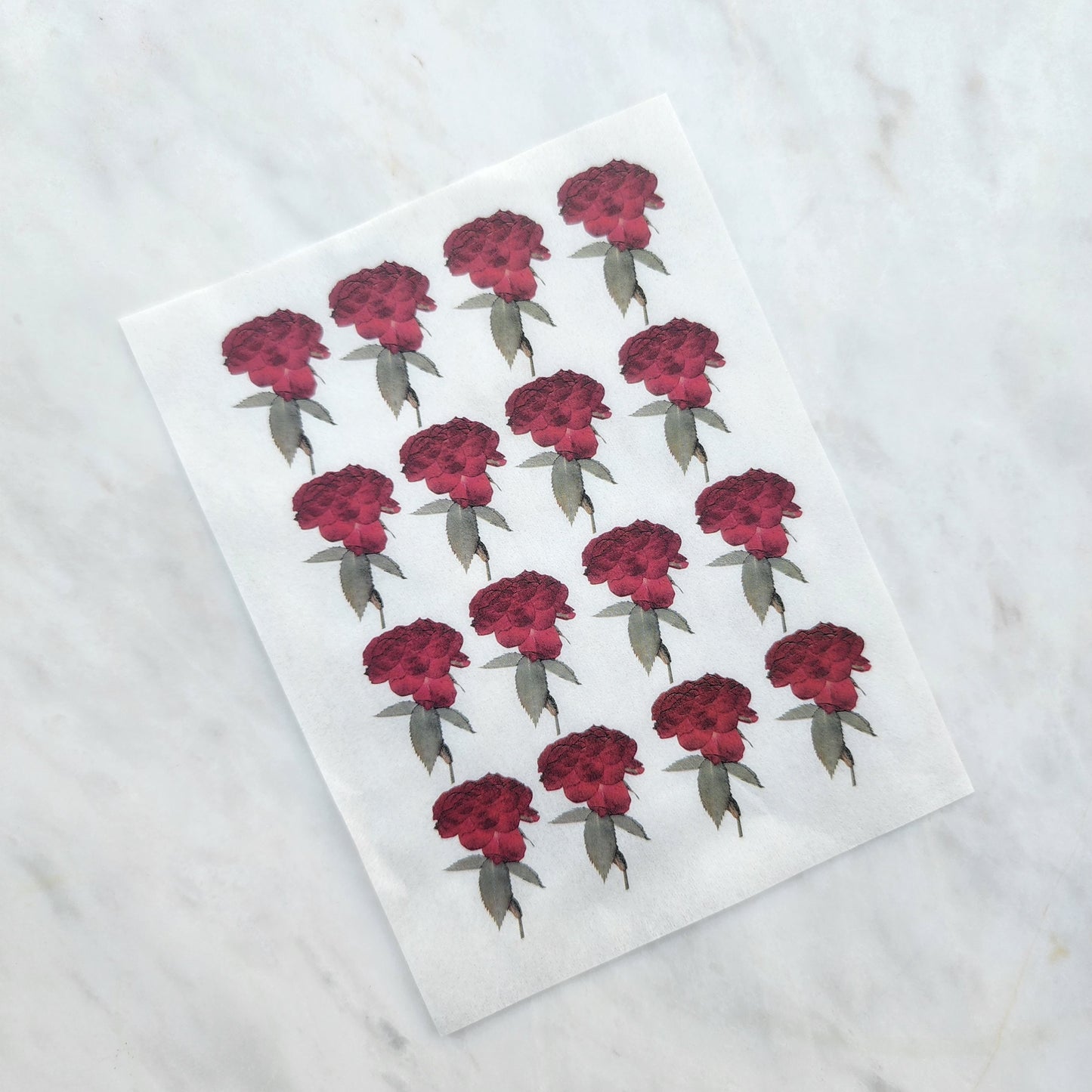 Water-soluble transfer paper for polymer clay craft "Dry rose flowers"